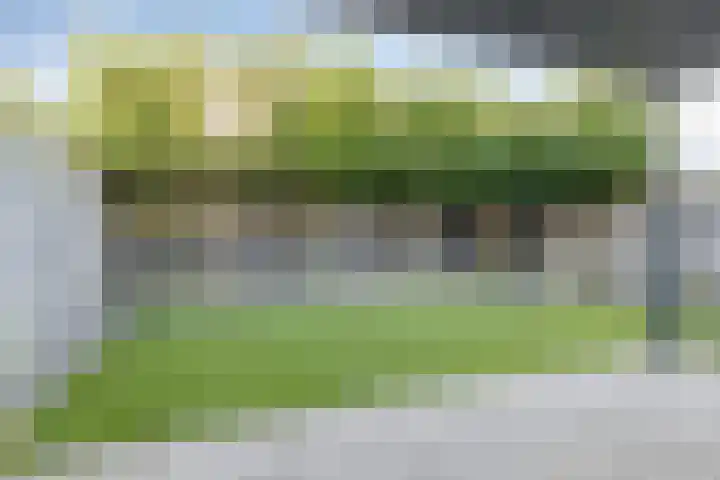 Bosuil 15 Venray thumbnail 34