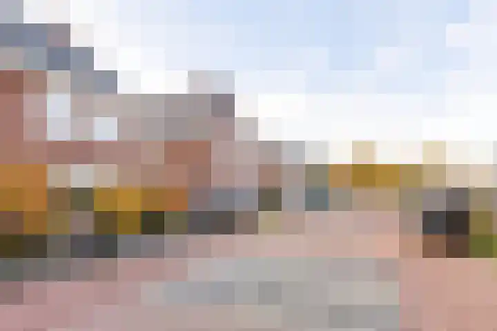 Bosuil 15 Venray thumbnail 38