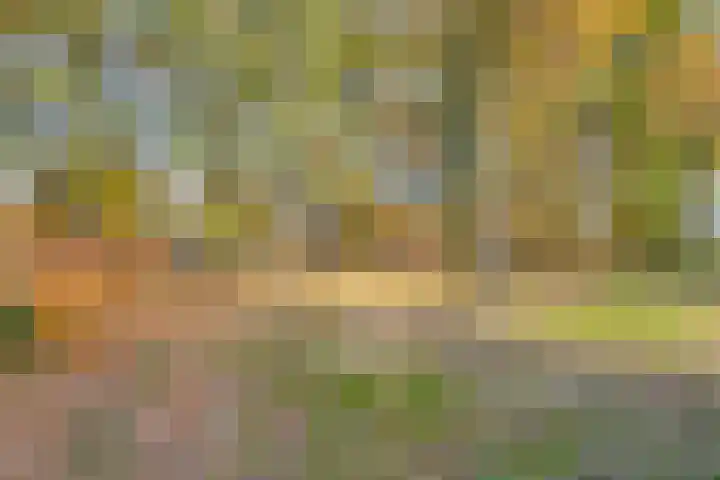 Bosuil 15 Venray thumbnail 39