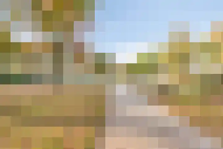 Bosuil 15 Venray thumbnail 40