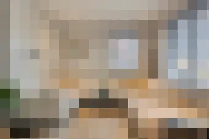 Bosuil 15 Venray thumbnail 7