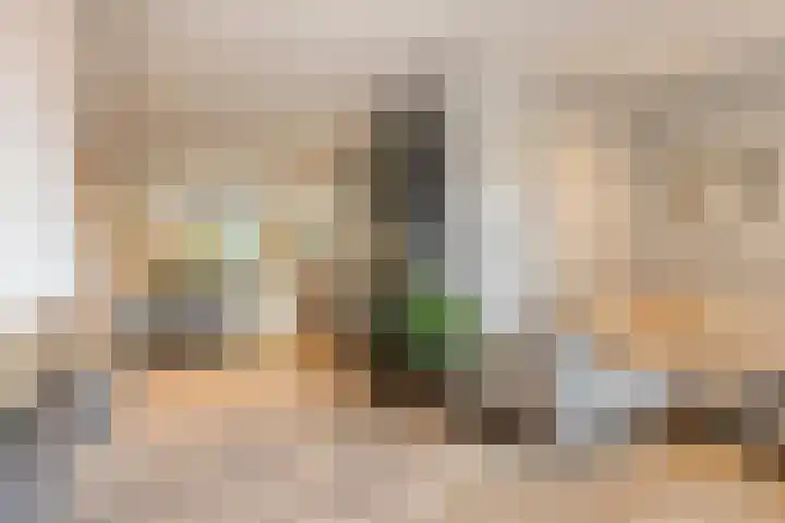 Bosuil 15 Venray thumbnail 8