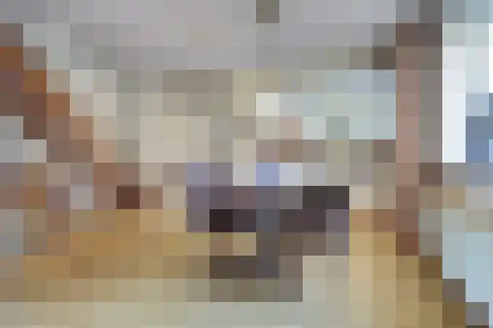 Bosuil 2 Veldhoven thumbnail 13