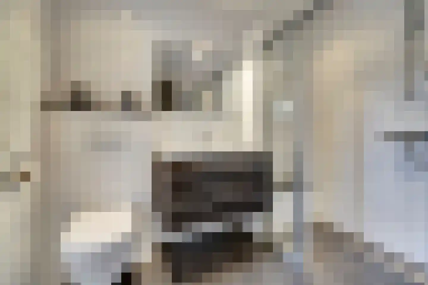 Bosuil 2 Veldhoven thumbnail 23