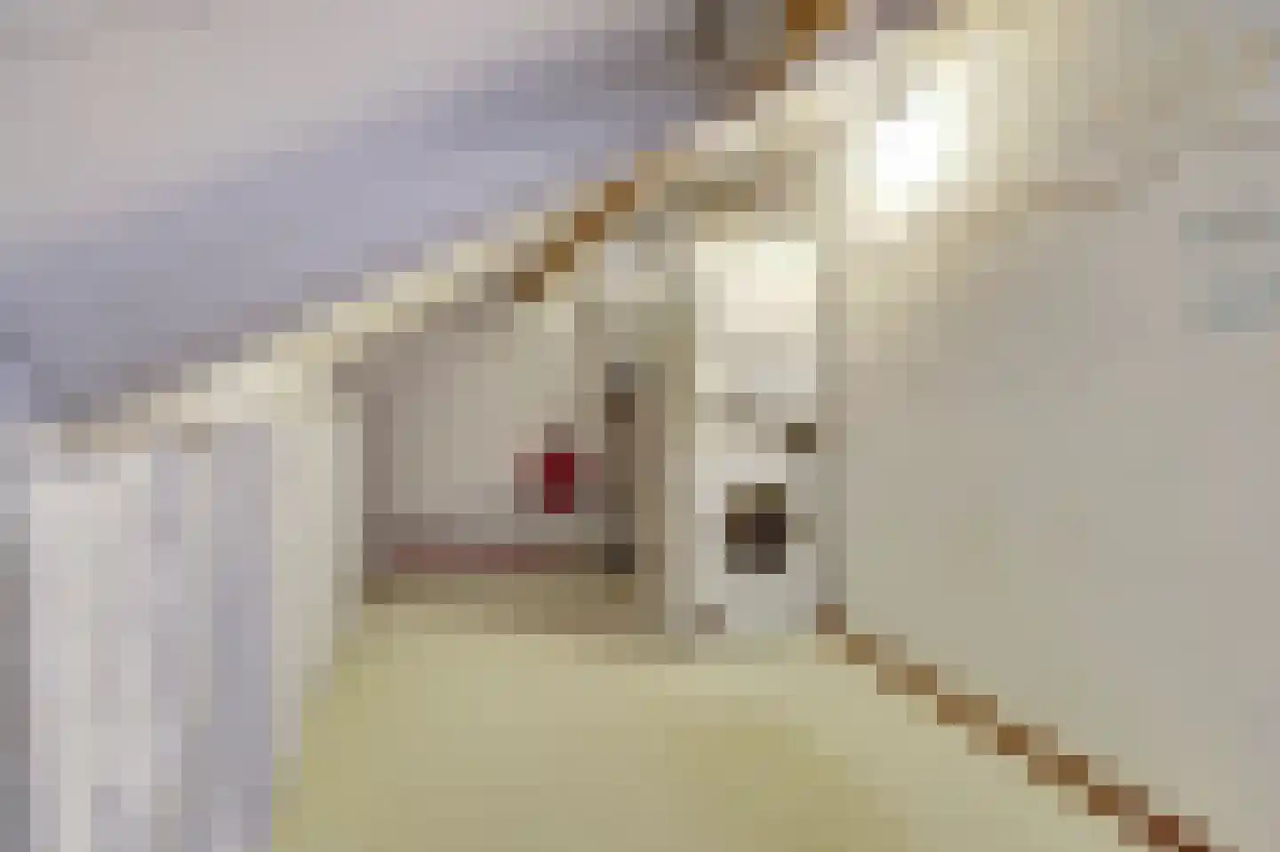 Bosuil 2 Veldhoven thumbnail 31