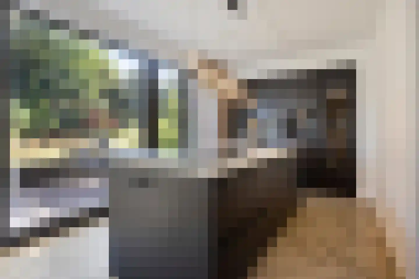 Bosuil 24 Eindhoven thumbnail 14