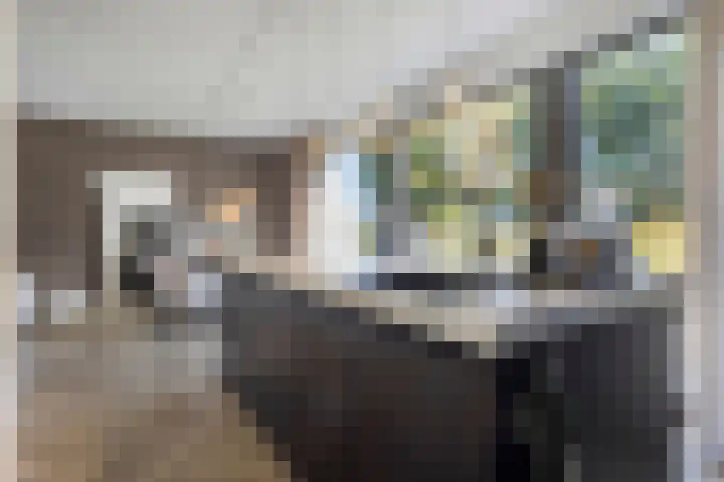 Bosuil 24 Eindhoven thumbnail 18