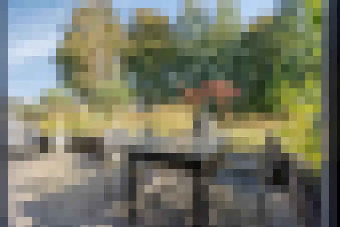 Bosuil 24 Eindhoven thumbnail 35