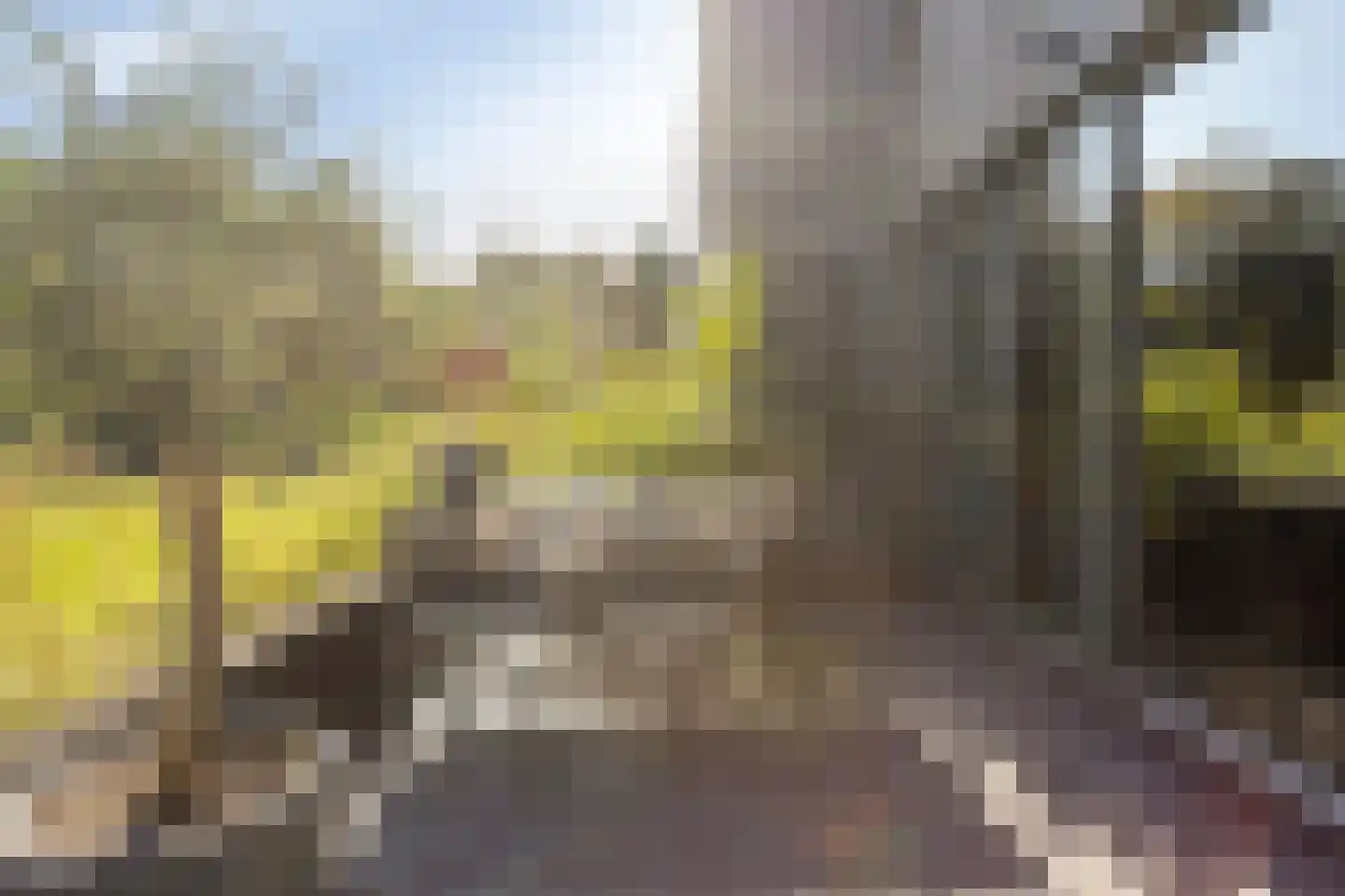 Bosuil 24 Eindhoven thumbnail 36