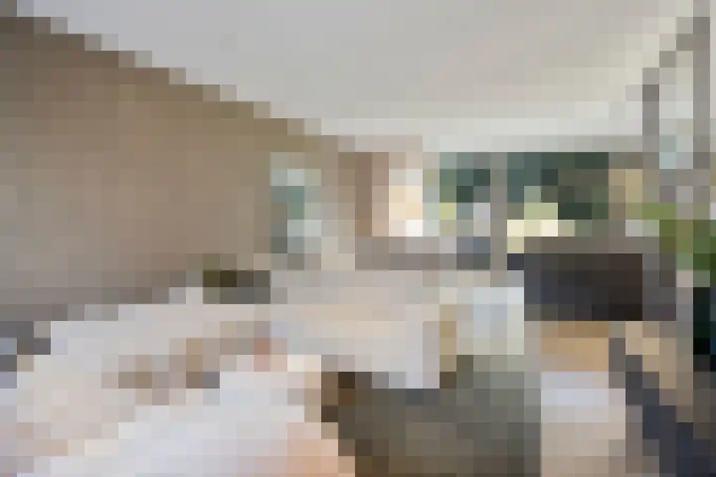 Bosuil 24 Eindhoven thumbnail 4