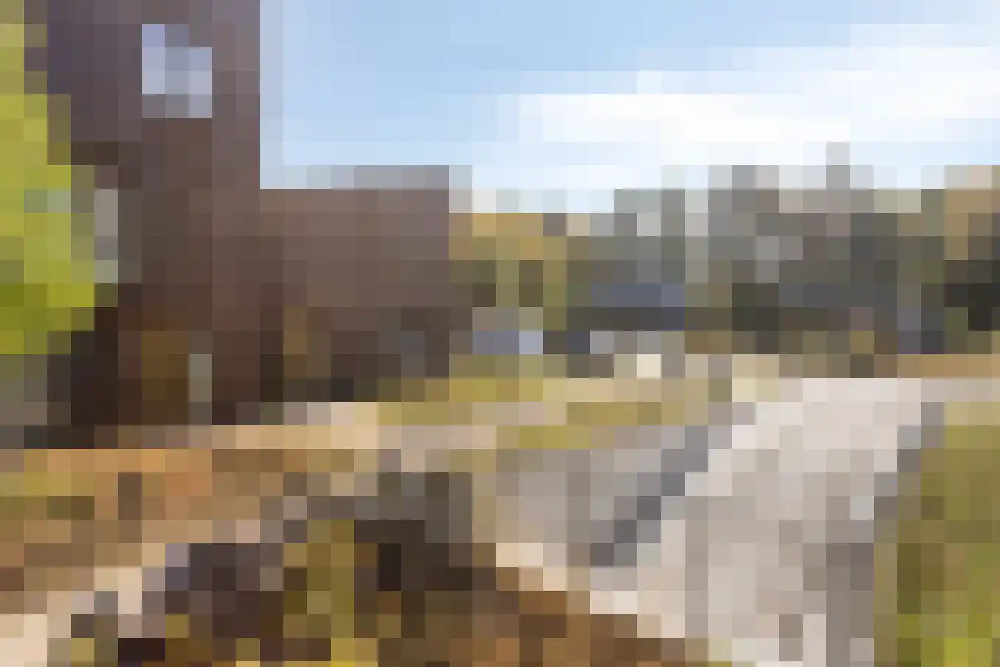 Bosuil 24 Eindhoven thumbnail 40