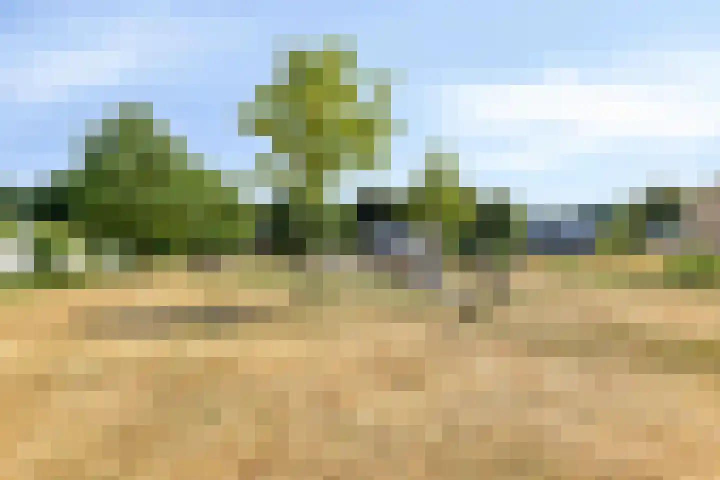 Bosuil 24 Eindhoven thumbnail 42