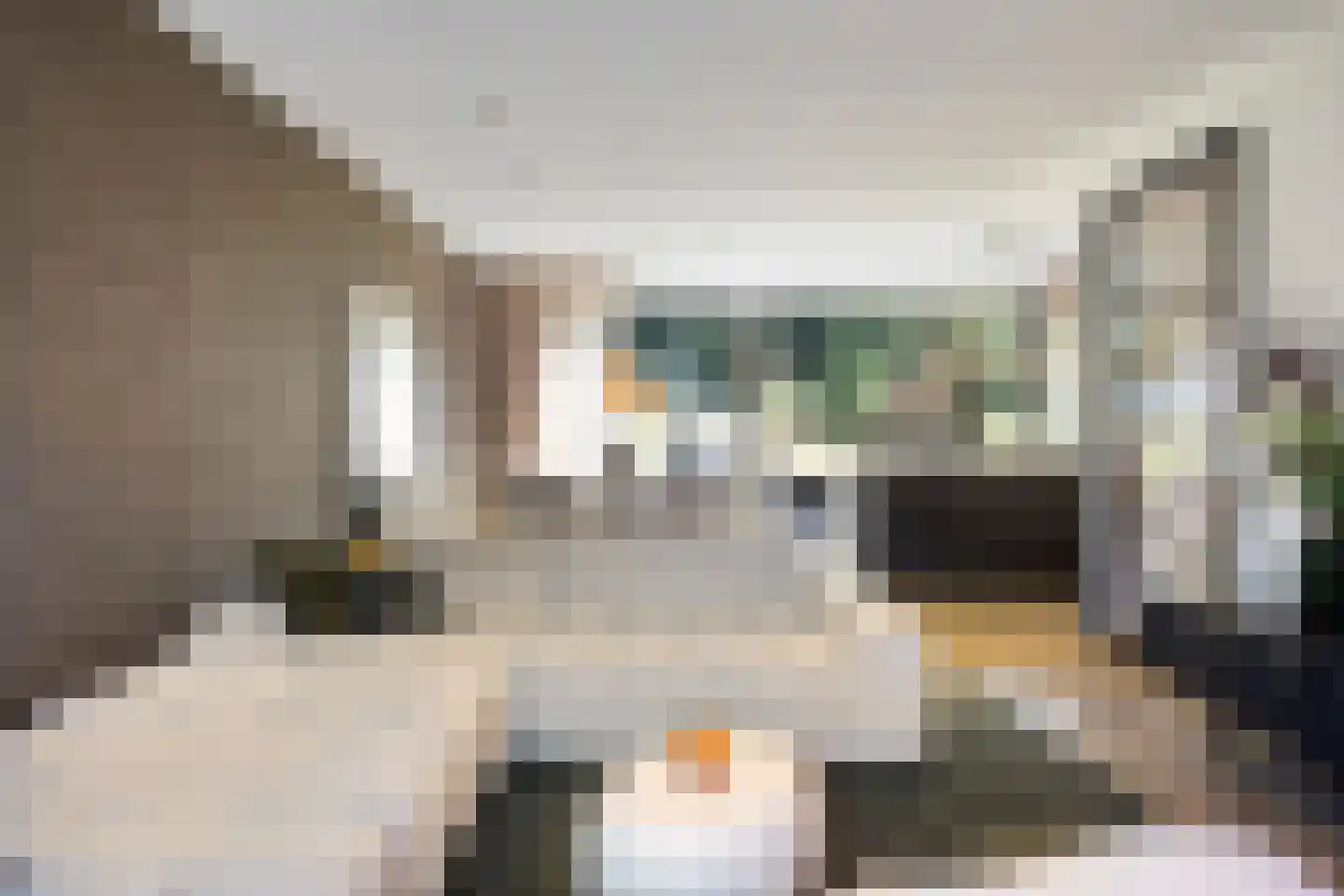 Bosuil 24 Eindhoven thumbnail 6