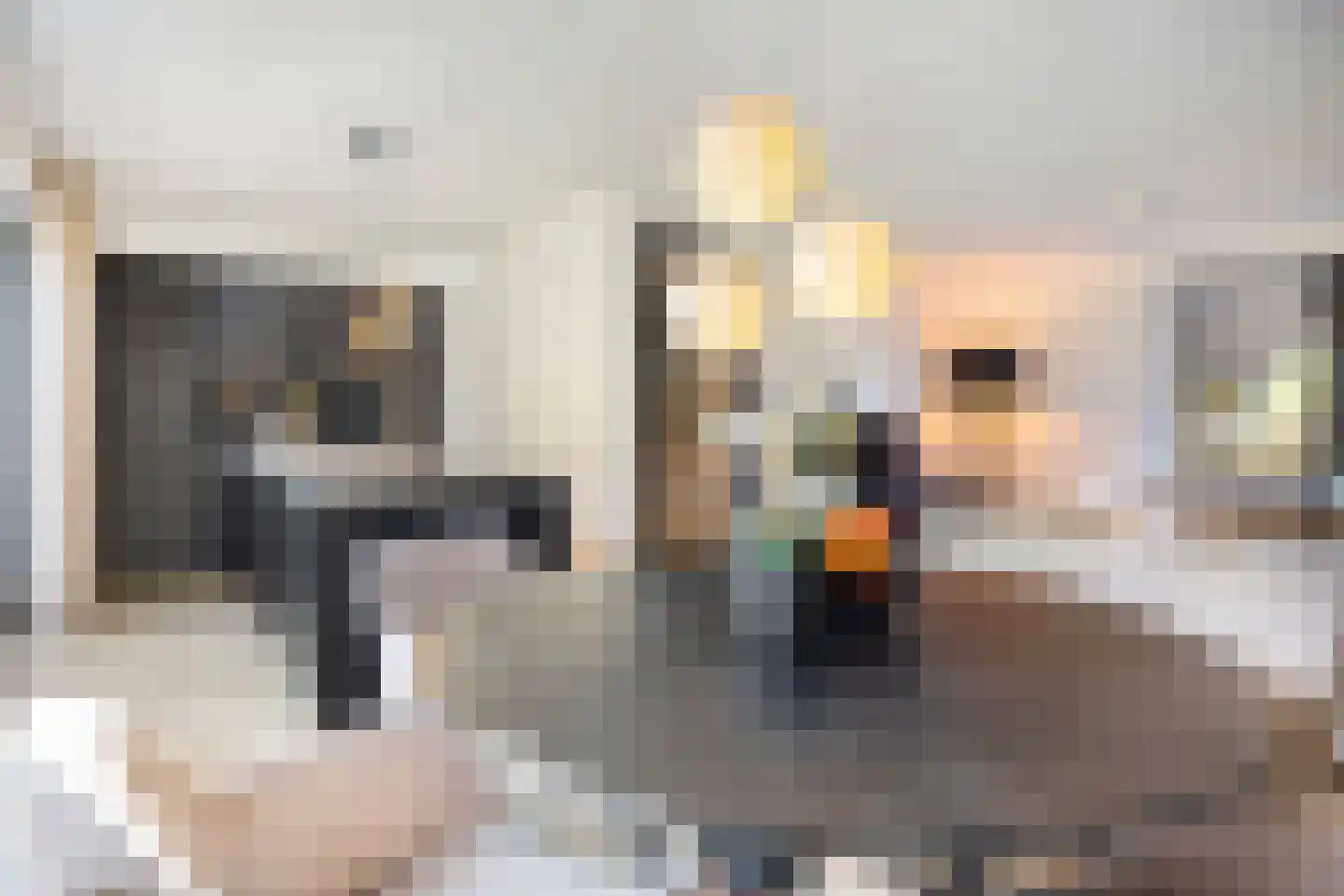 Bosuil 24 Eindhoven thumbnail 9