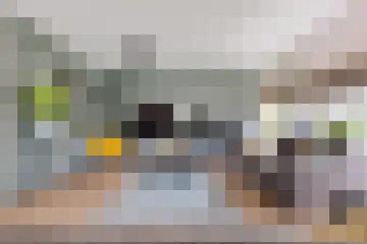 Bosuil 3 Bedum thumbnail 14