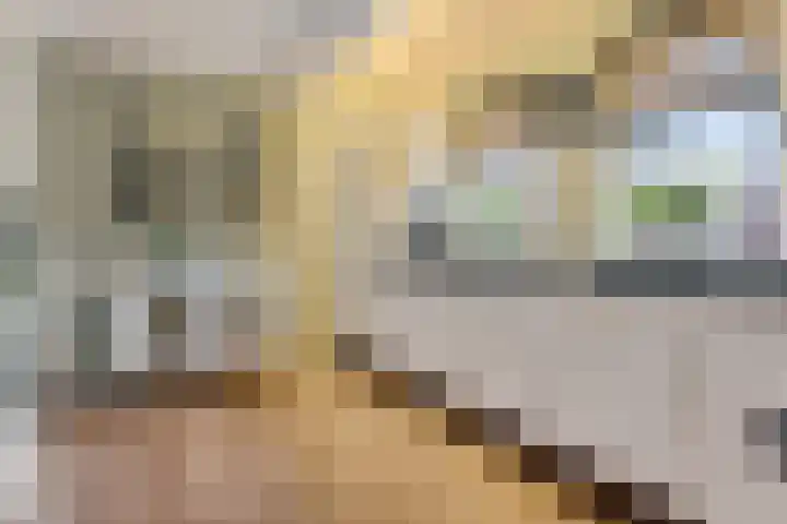 Bosuil 3 Bedum thumbnail 17