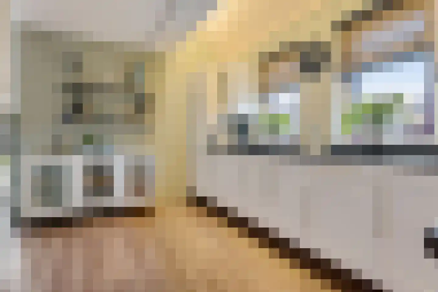 Bosuil 3 Bedum thumbnail 17