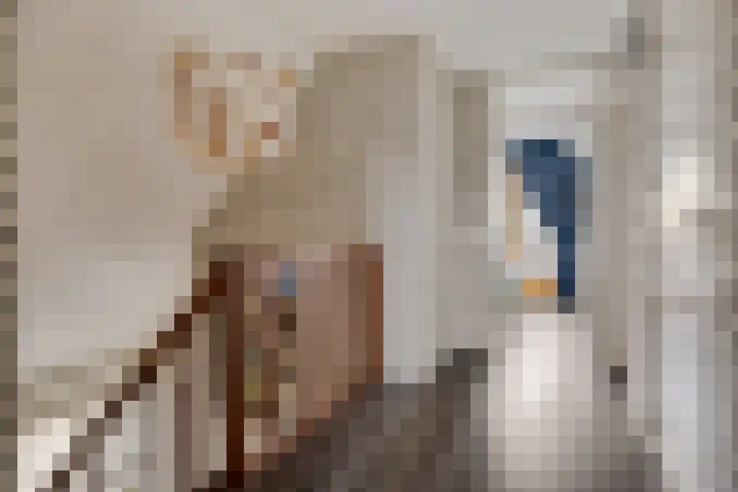 Bosuil 3 Bedum thumbnail 24