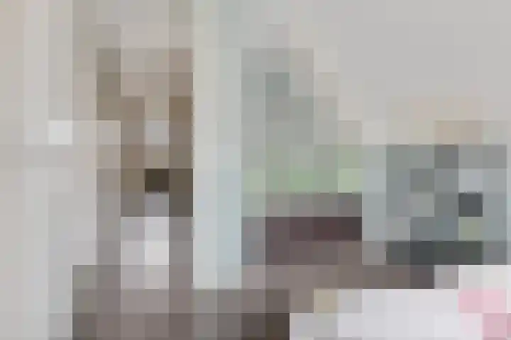 Bosuil 3 Bedum thumbnail 26