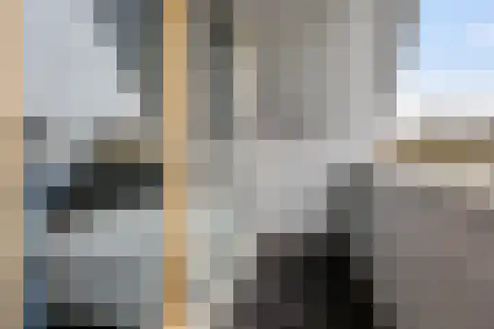 Bosuil 3 Bedum thumbnail 27