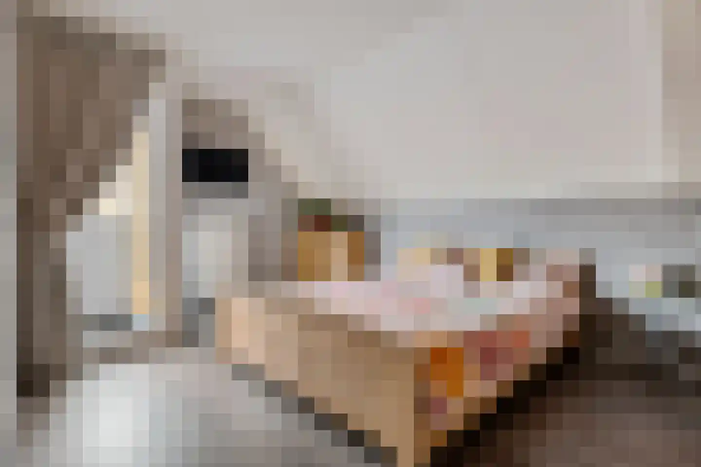 Bosuil 3 Bedum thumbnail 28