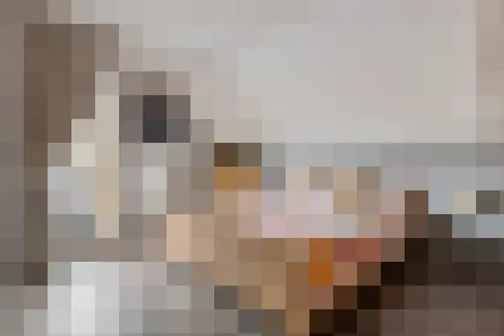 Bosuil 3 Bedum thumbnail 28