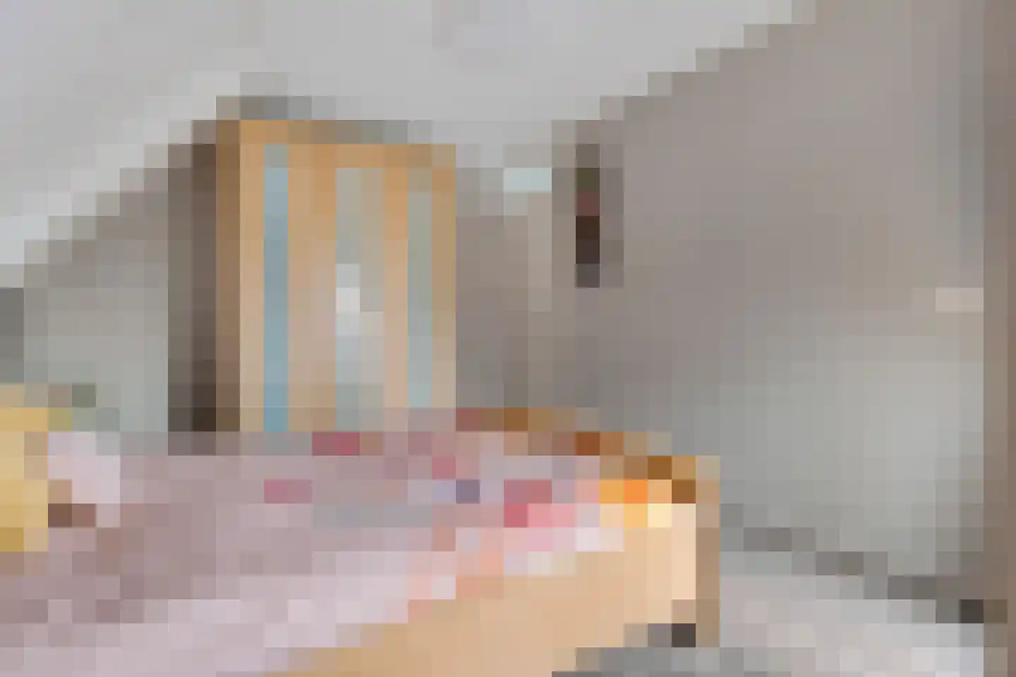 Bosuil 3 Bedum thumbnail 29