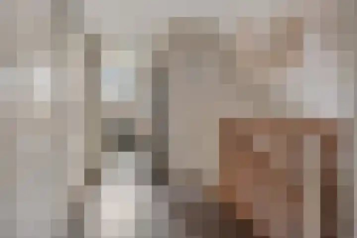 Bosuil 3 Bedum thumbnail 30