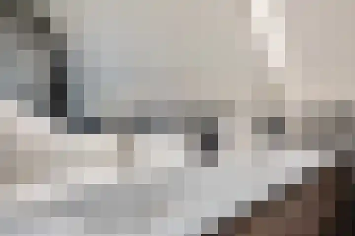 Bosuil 3 Bedum thumbnail 31