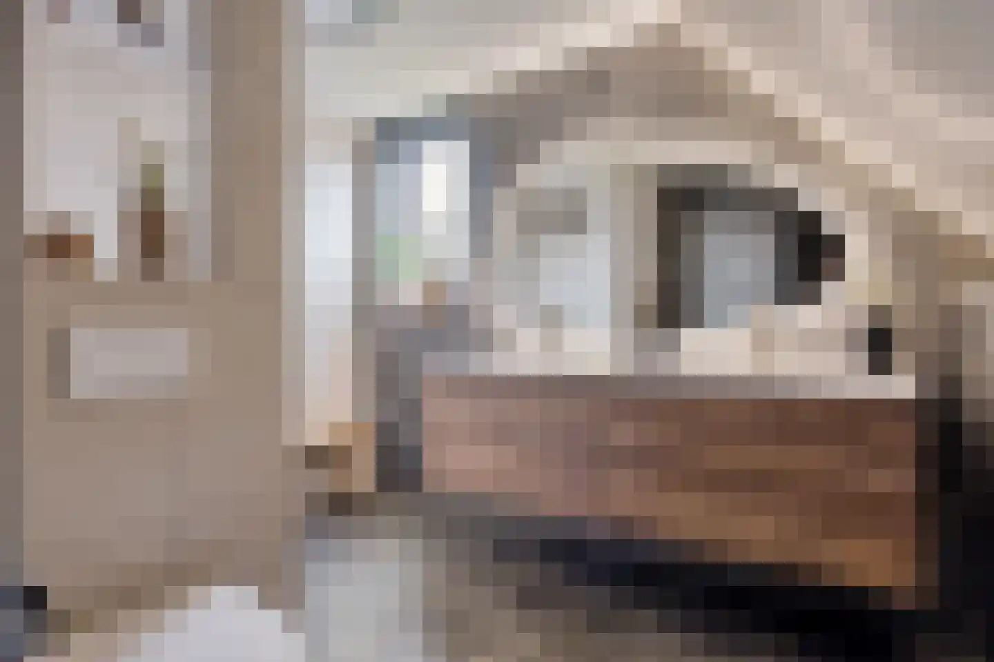 Bosuil 3 Bedum thumbnail 34