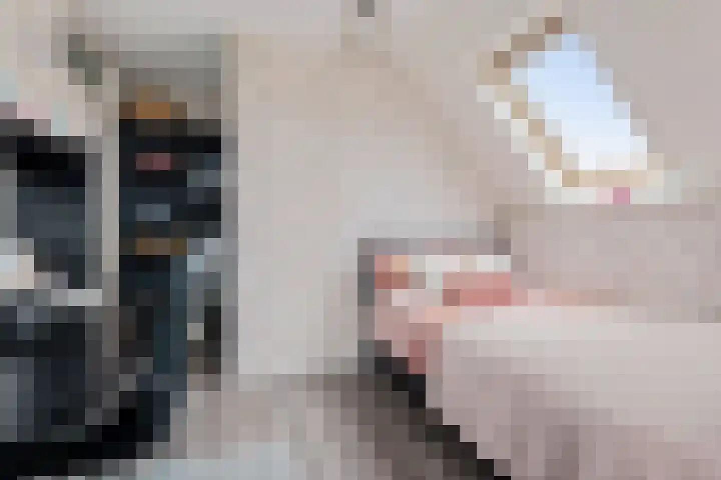 Bosuil 3 Bedum thumbnail 37