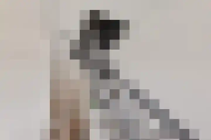 Bosuil 3 Bedum thumbnail 39
