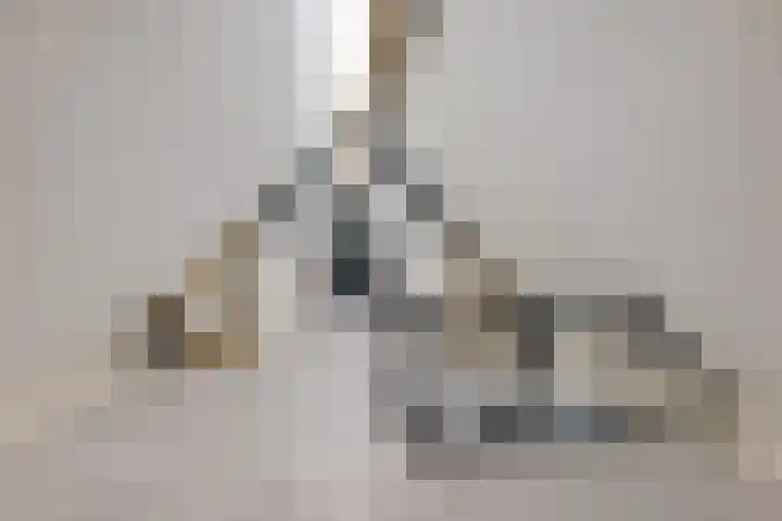 Bosuil 3 Bedum thumbnail 40
