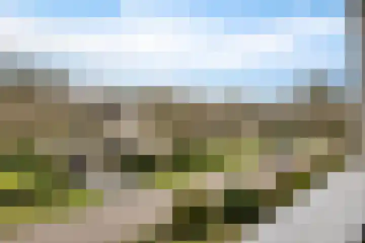 Bosuil 3 Bedum thumbnail 44