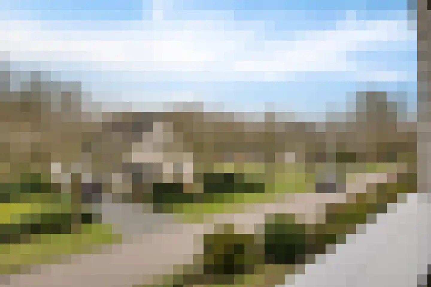 Bosuil 3 Bedum thumbnail 44