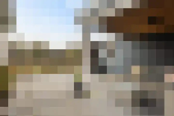 Bosuil 3 Bedum thumbnail 45
