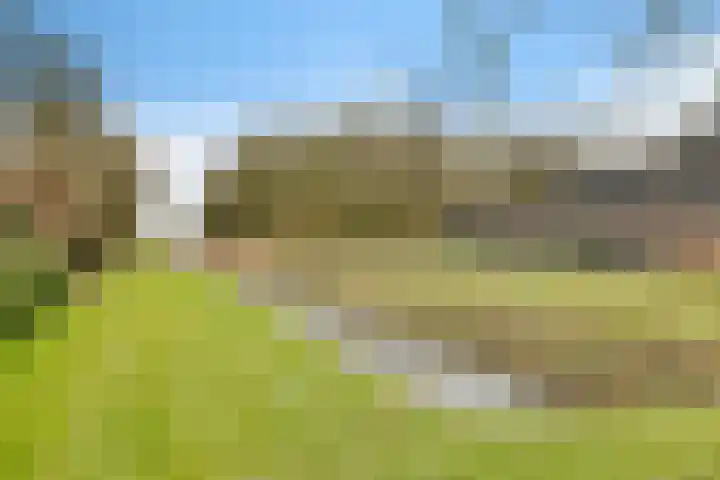 Bosuil 3 Bedum thumbnail 46
