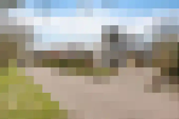 Bosuil 3 Bedum thumbnail 5