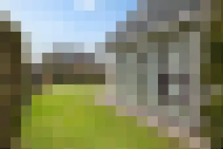 Bosuil 3 Bedum thumbnail 6