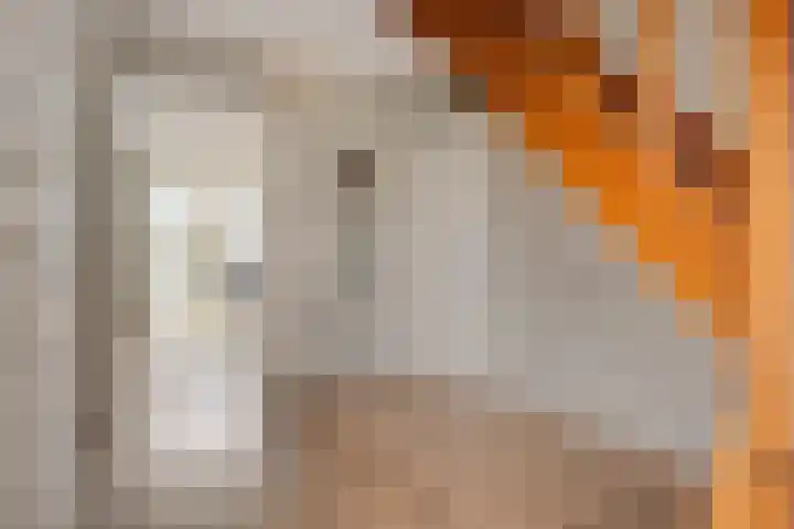 Bosuil 3 Bedum thumbnail 9