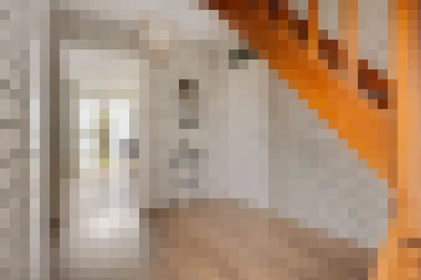 Bosuil 3 Bedum thumbnail 9