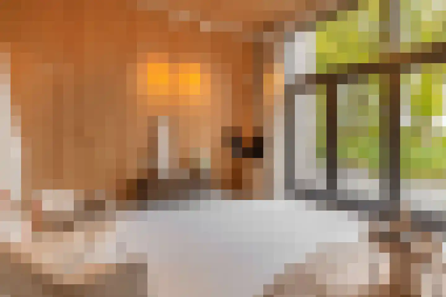 Bosuil 33 Eindhoven thumbnail 21