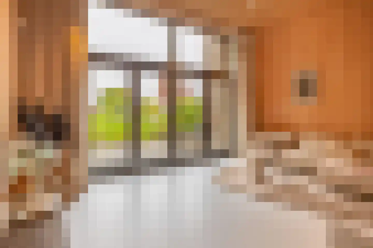 Bosuil 33 Eindhoven thumbnail 22