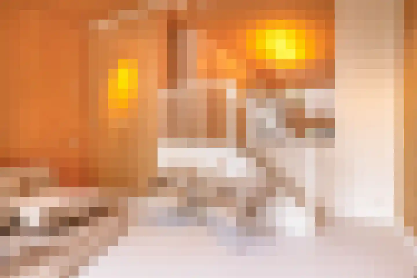 Bosuil 33 Eindhoven thumbnail 23