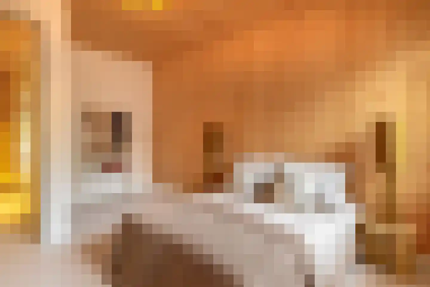 Bosuil 33 Eindhoven thumbnail 28