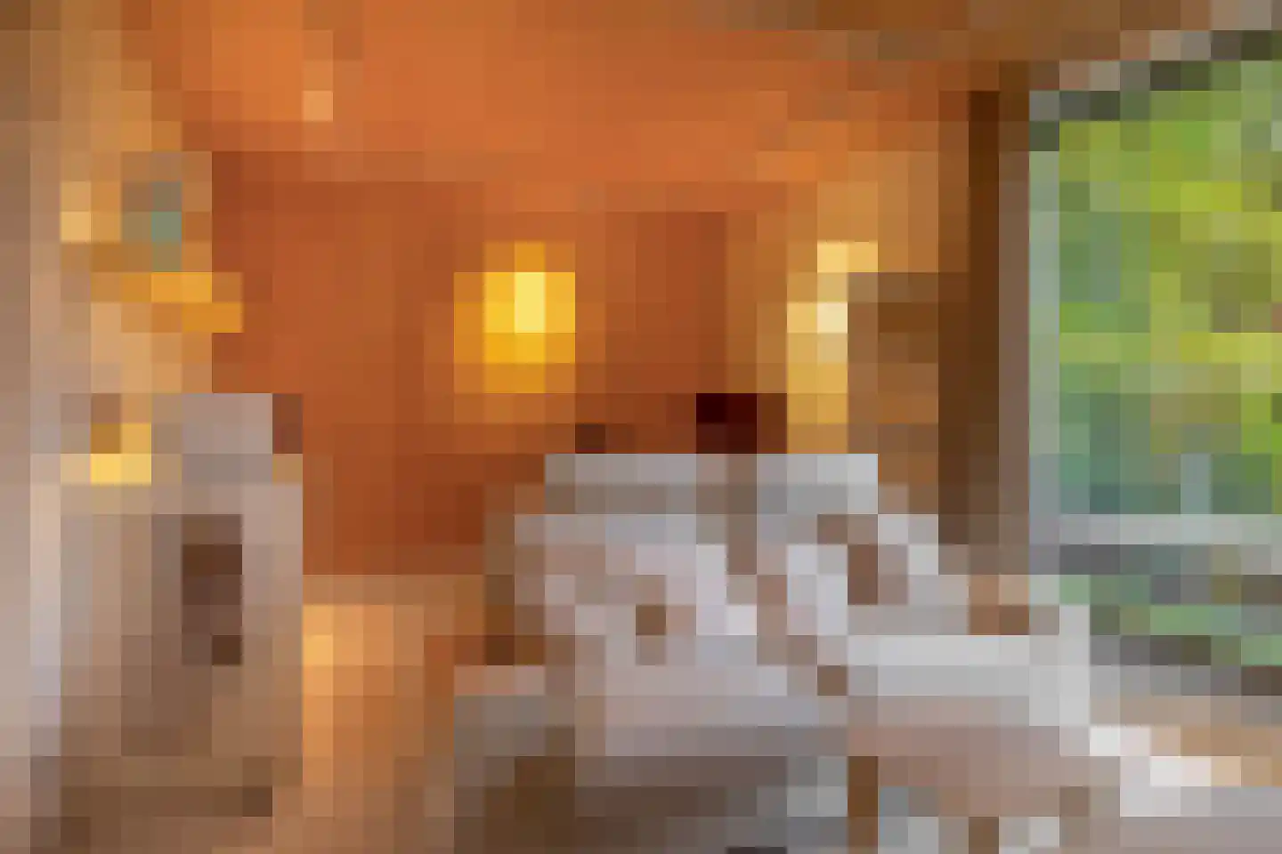 Bosuil 33 Eindhoven thumbnail 34