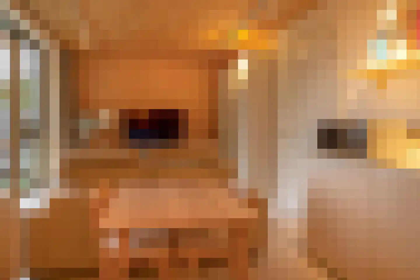 Bosuil 33 Eindhoven thumbnail 35