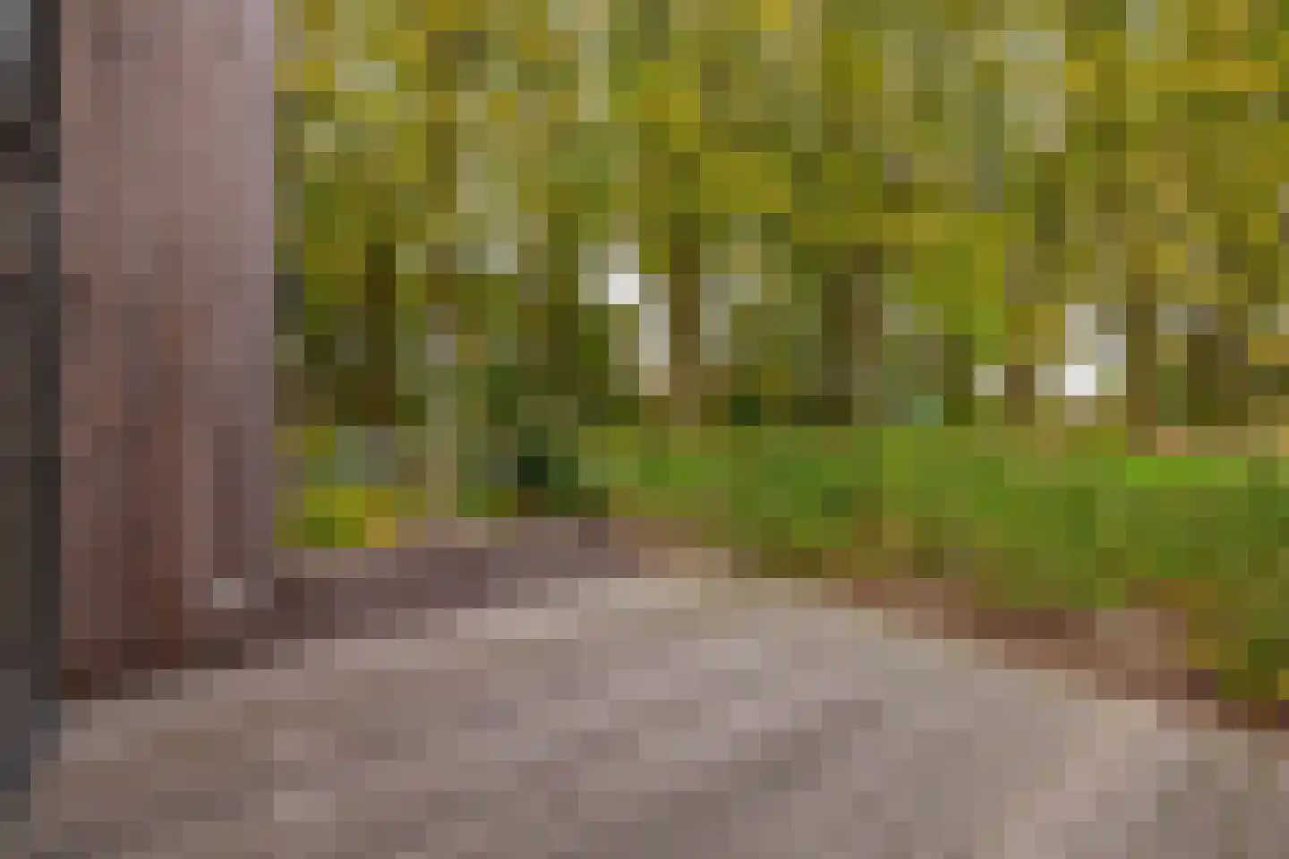 Bosuil 33 Eindhoven thumbnail 39