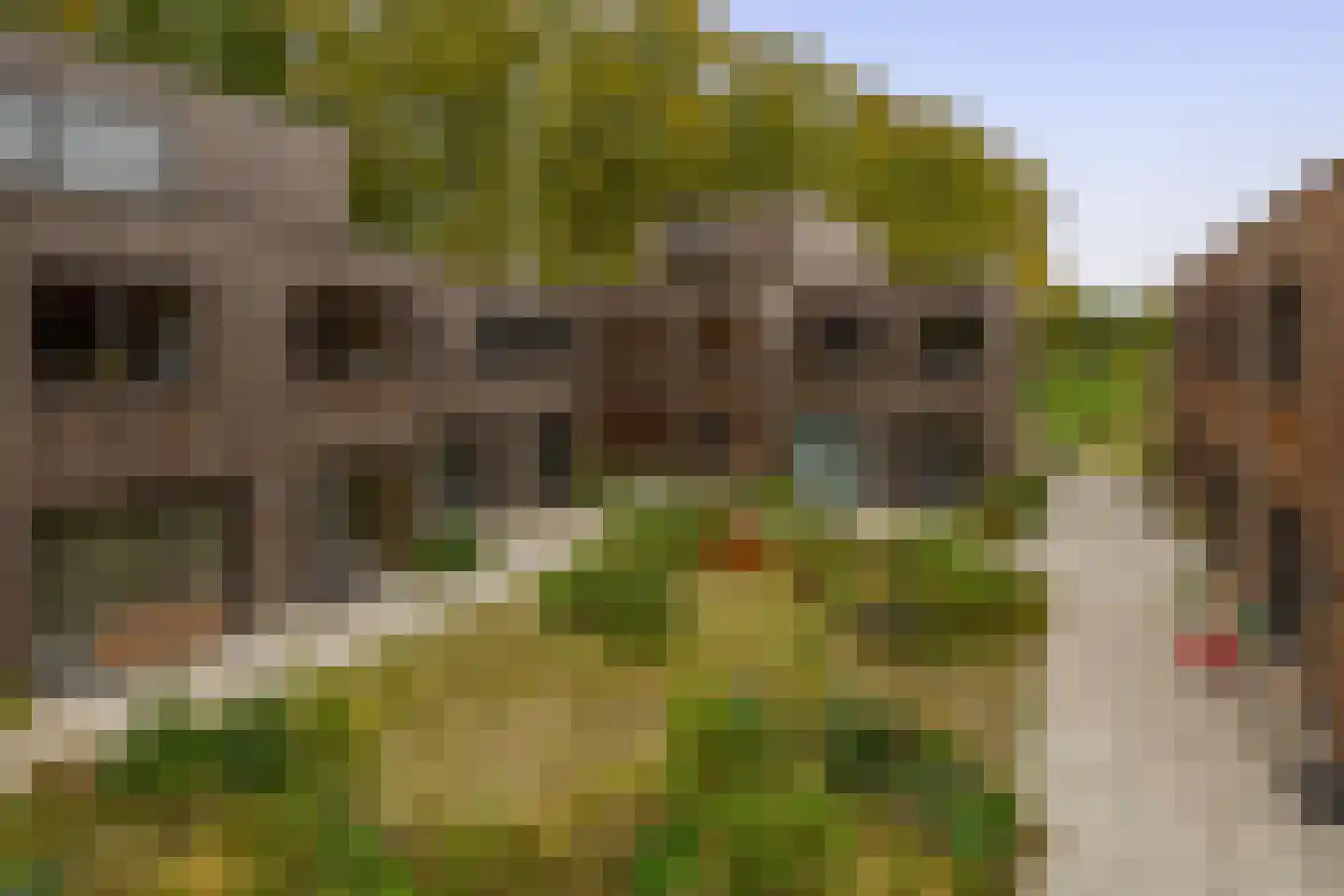 Bosuil 33 Eindhoven thumbnail 44