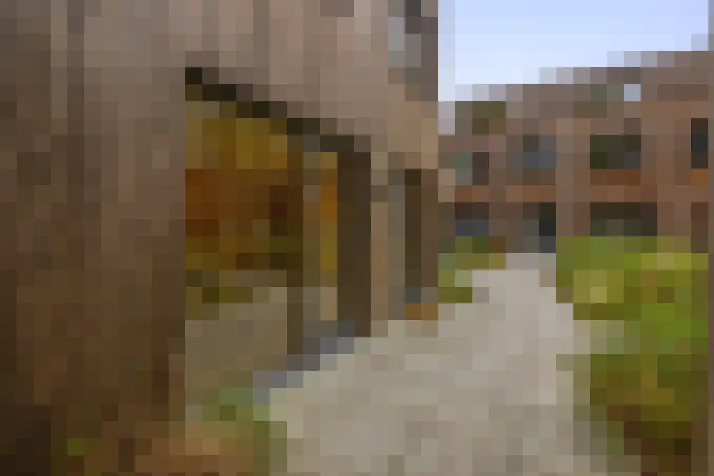 Bosuil 33 Eindhoven thumbnail 45